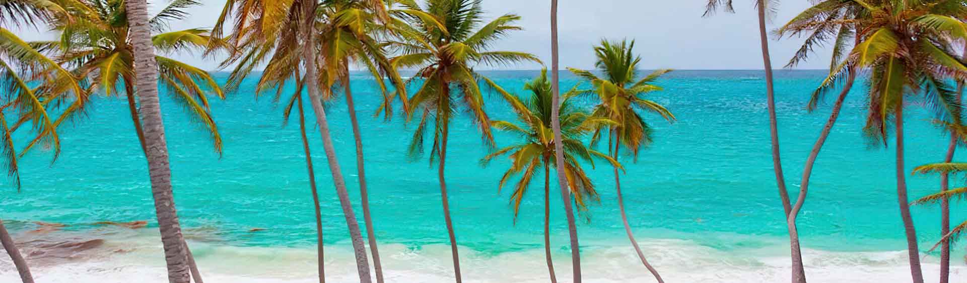 Paquete Punta Cana all inclusive