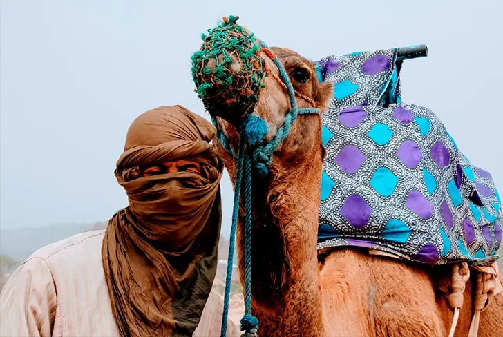 Imagen de Paquete de Viaje a Marruecos
