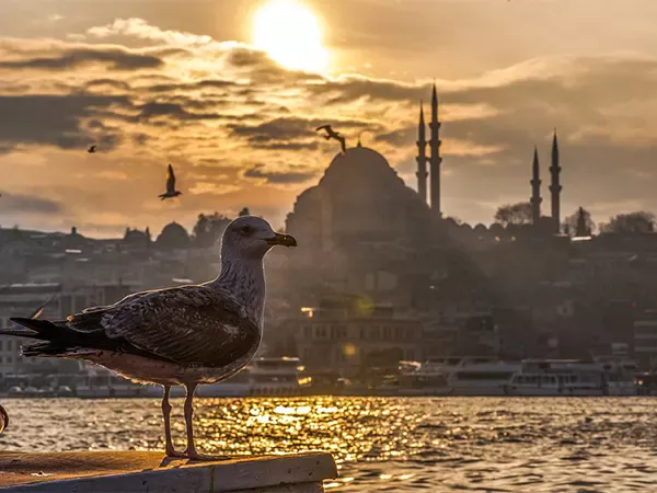 Imagen de Paquete a Turquia