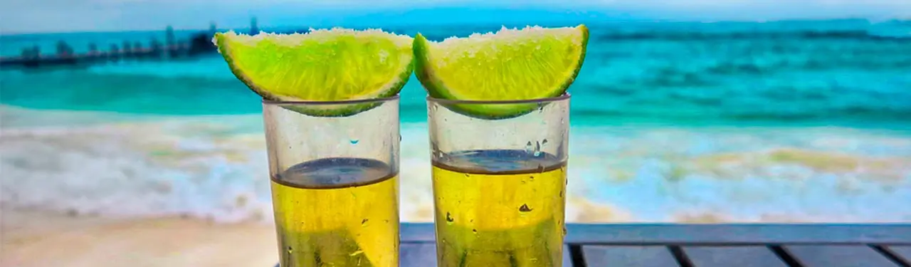 Imagen relacionada con Praia do Forte