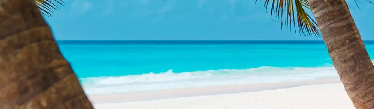 Imagen relacionada con Porto de Galinhas