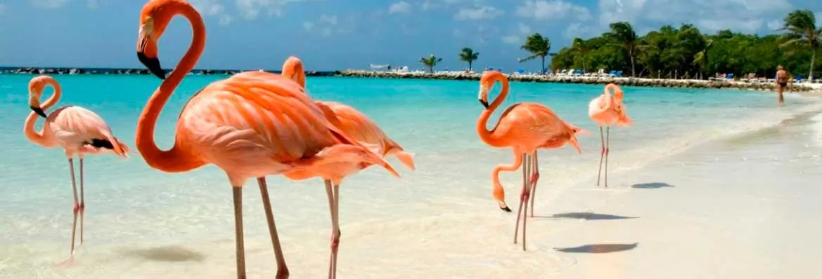 Imagen relacionada con Paquete a Aruba