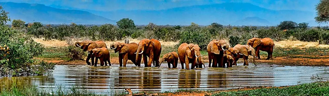Imagen adicional relacionada con Paquete a Sudafrica